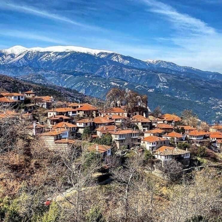 Ξενώνας Τ'Αρχοντικό Palaios Panteleimonas Exterior photo